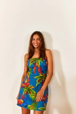 FARM RIO Blue Sunny Day Mini Dress New In