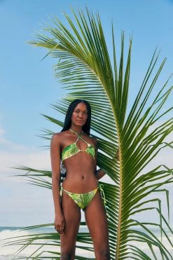 FARM RIO New In Fresh Forest Bikini Bottom